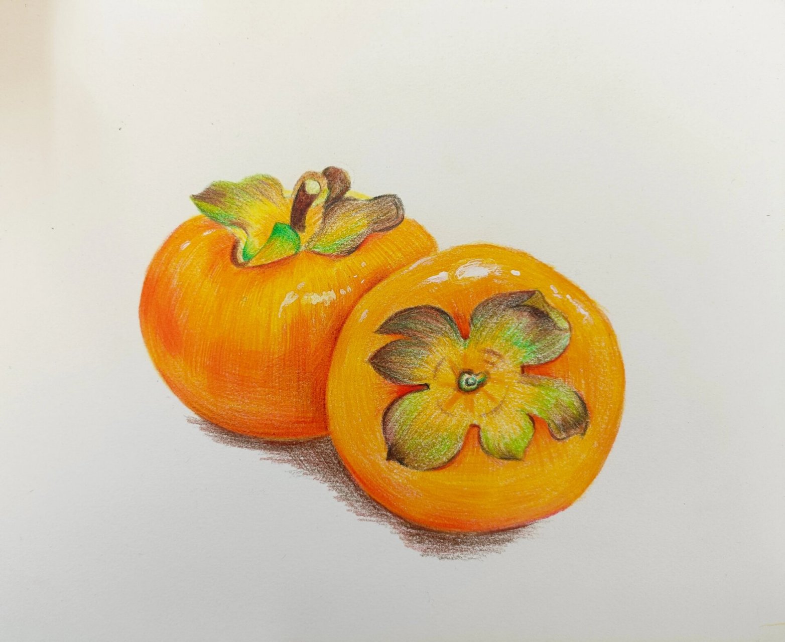 秋天柿子彩铅画