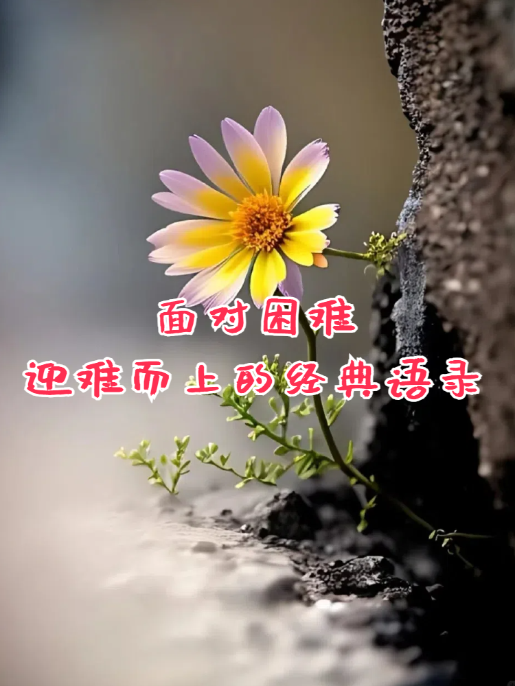 面对困难迎难而上的经典语录