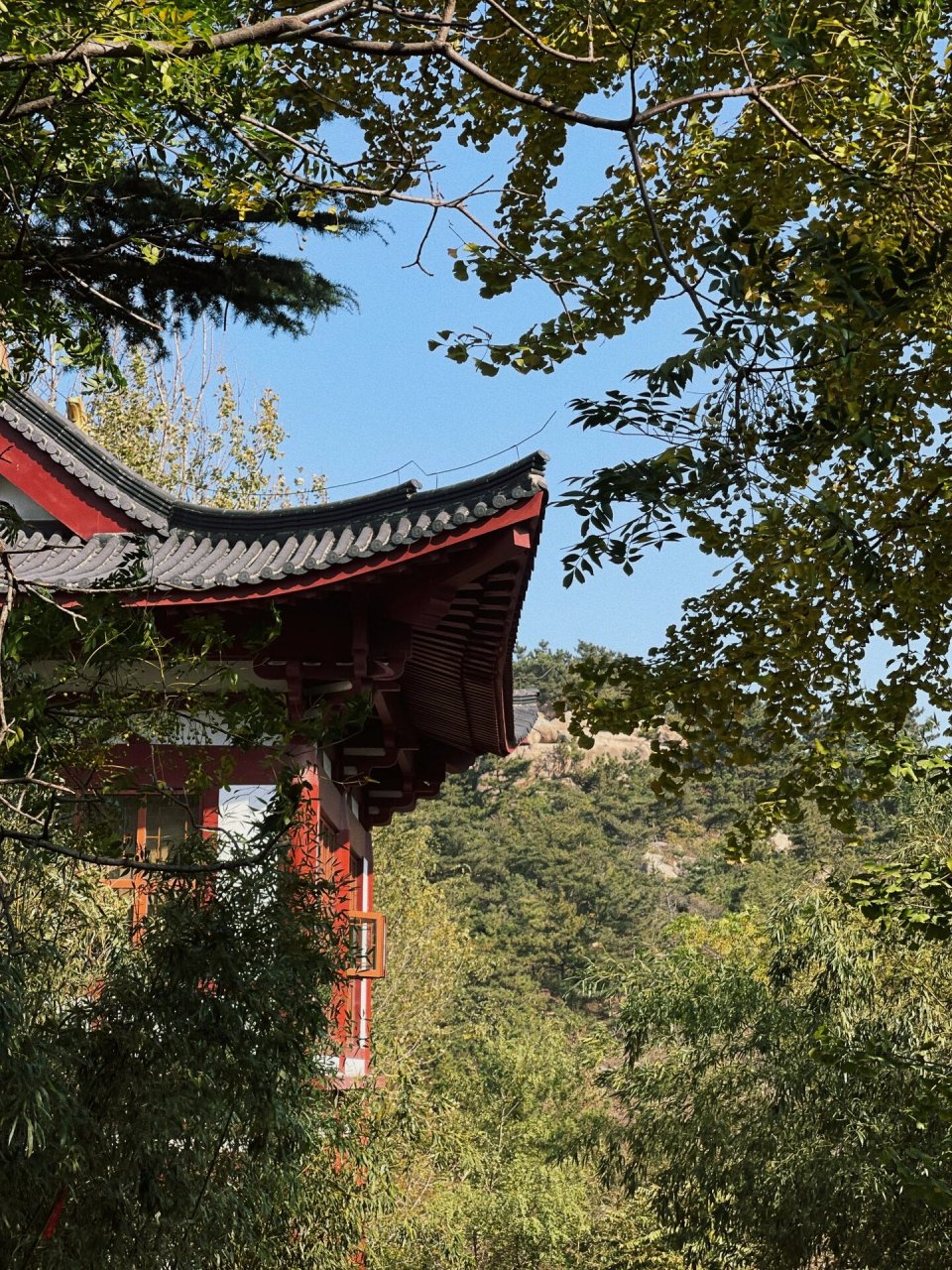 秋天的石门寺很美@大珠山94 山里的寺庙别有一番风景.
