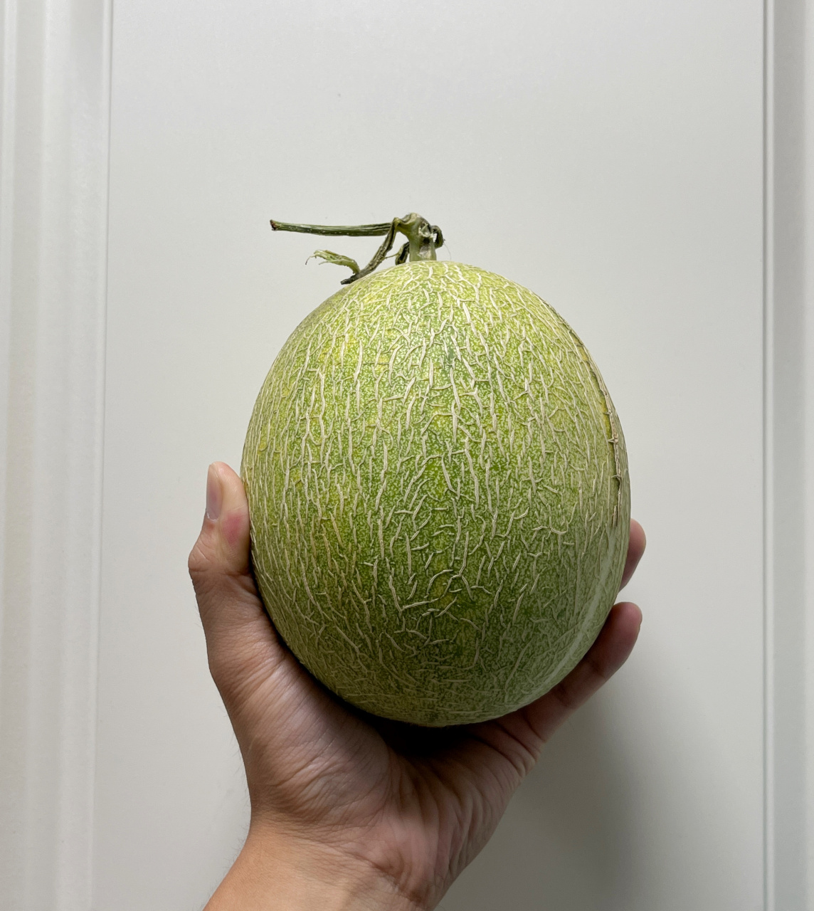 豆芽这个哈密瓜,真的绝……不过我用刨子刮得皮,那层有点硬了,应该再