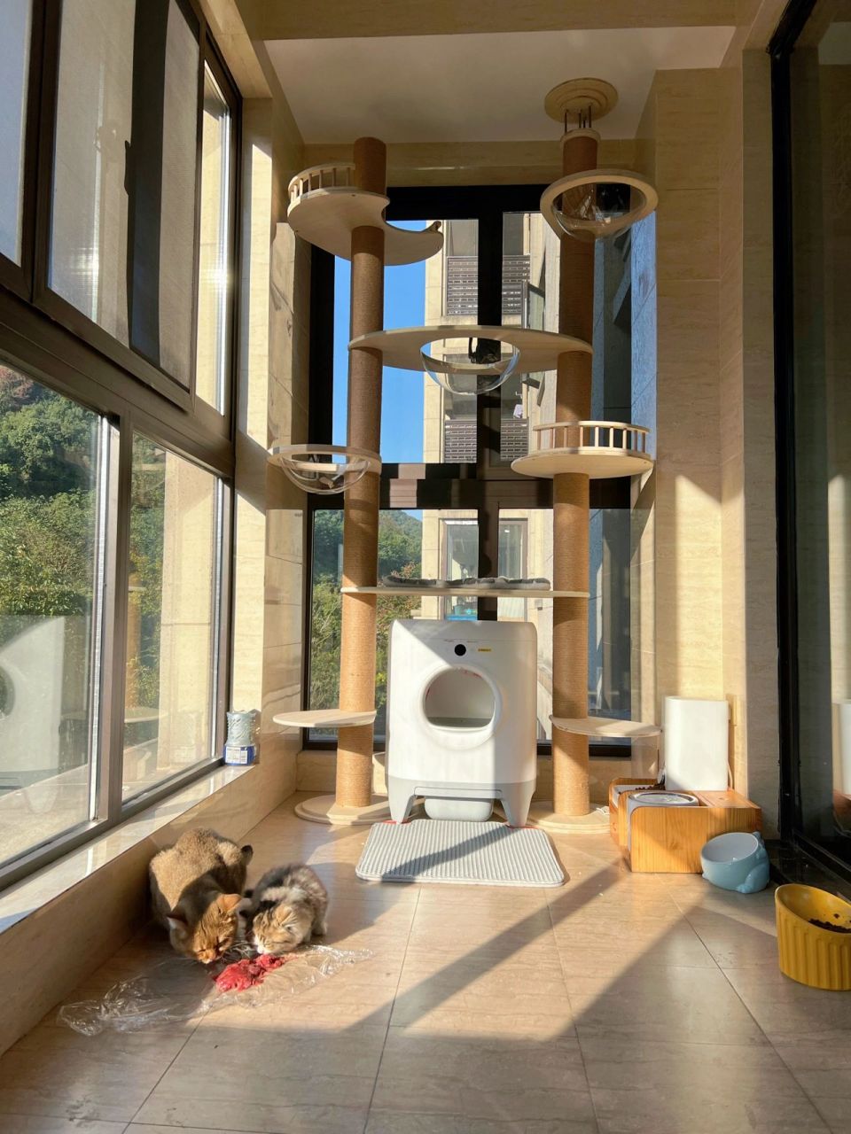 自己diy通天双柱猫爬架~ 91种草了很久通天柱猫爬架 但网上成品价格