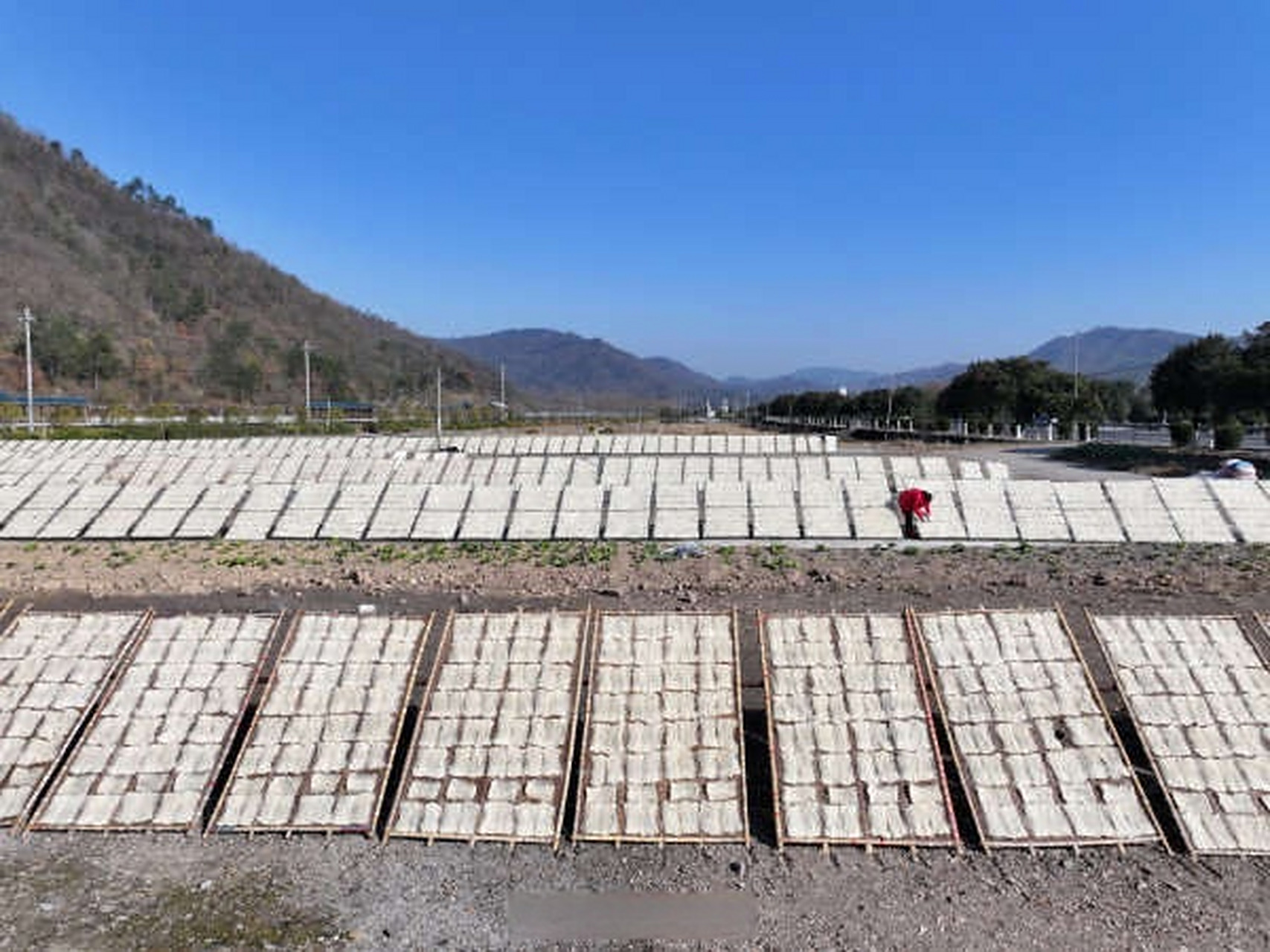 林头天气预报 林头天气预报