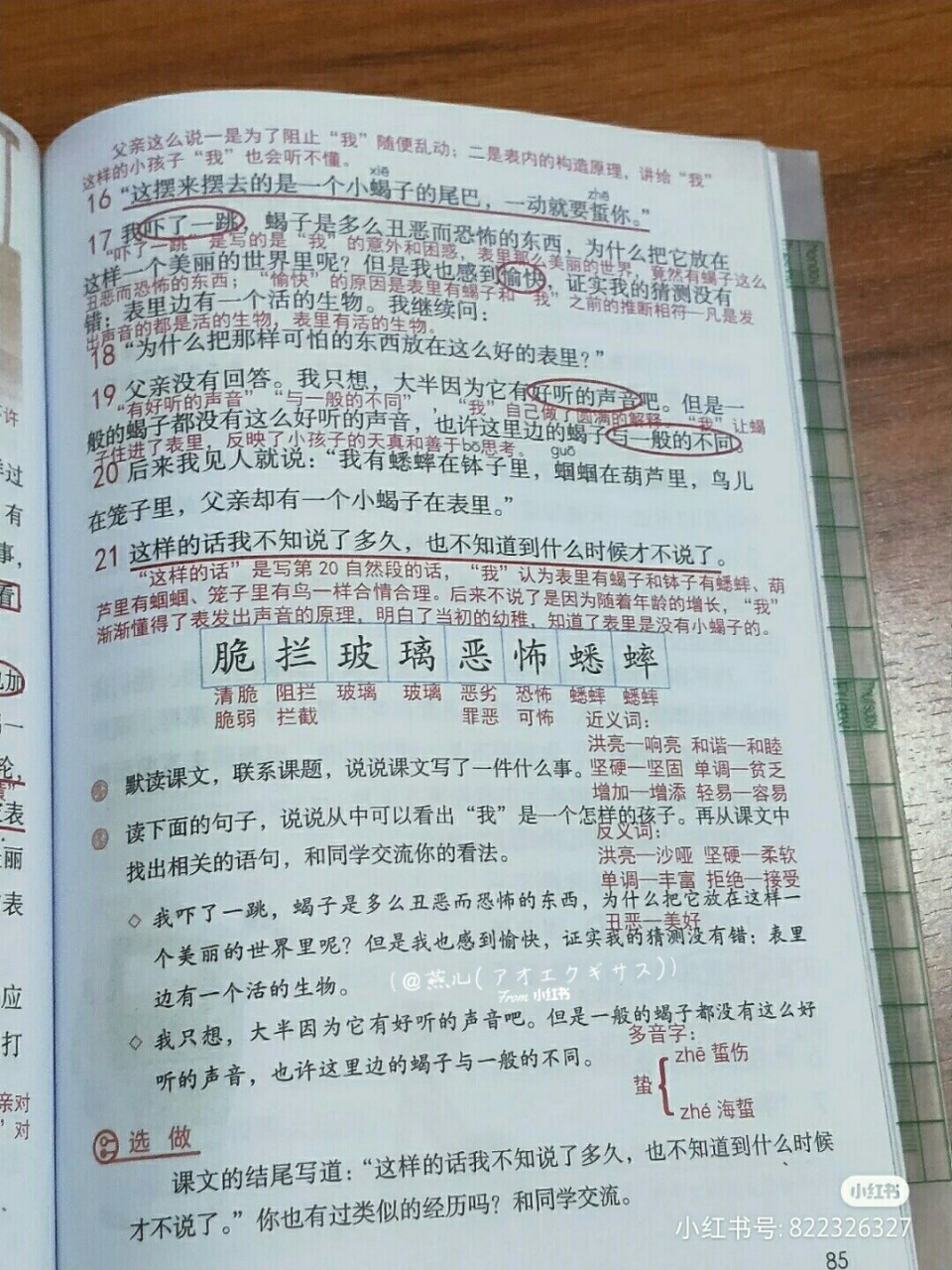 六下语文笔记第十六课 六年级下册语文笔记第十六课