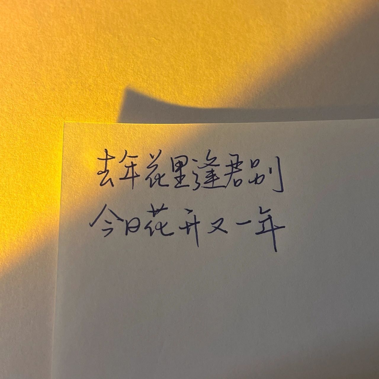 那些江湖再见的诗句ii文案 山鸟与鱼不同路 从此山水不相逢