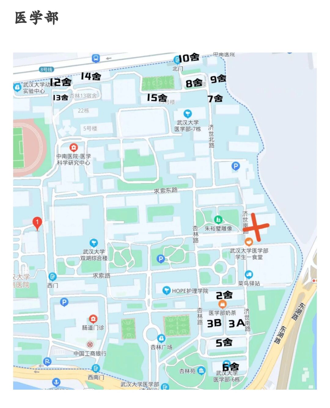 武汉市各大学分布地图图片