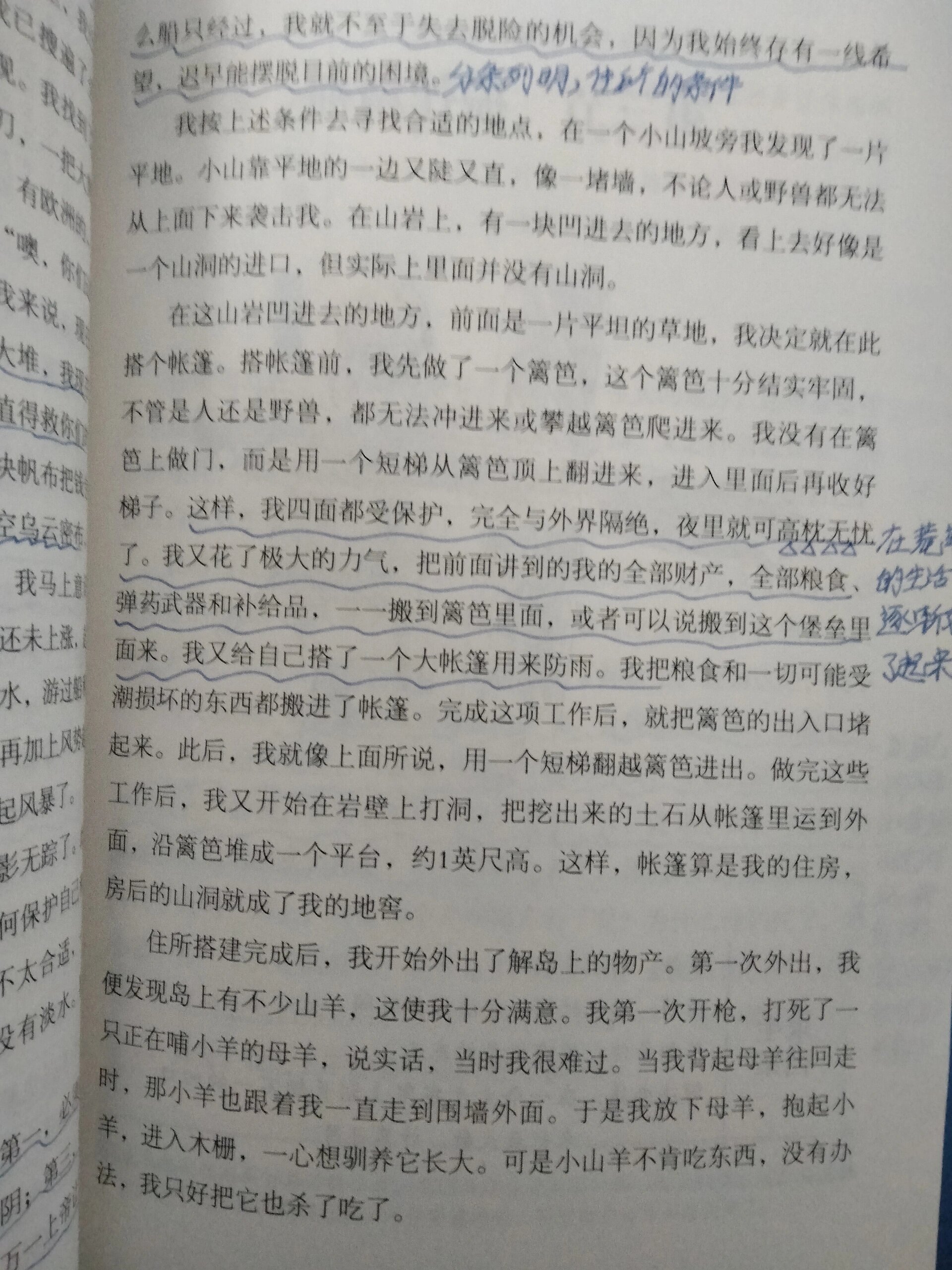 鲁滨逊心情图片