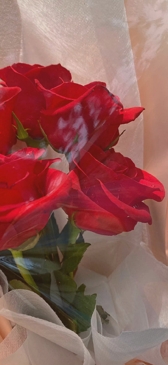 宝 快来存些红色系壁纸   #文案# #情感# #朋友圈文案# #壁纸