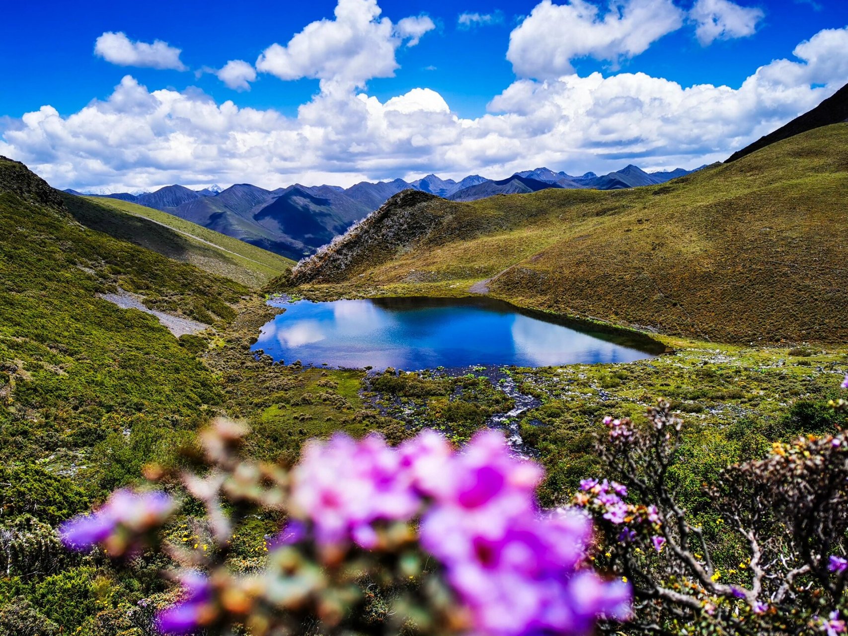 汐尔旅行|观德结湖,等待贡嘎射下的光!