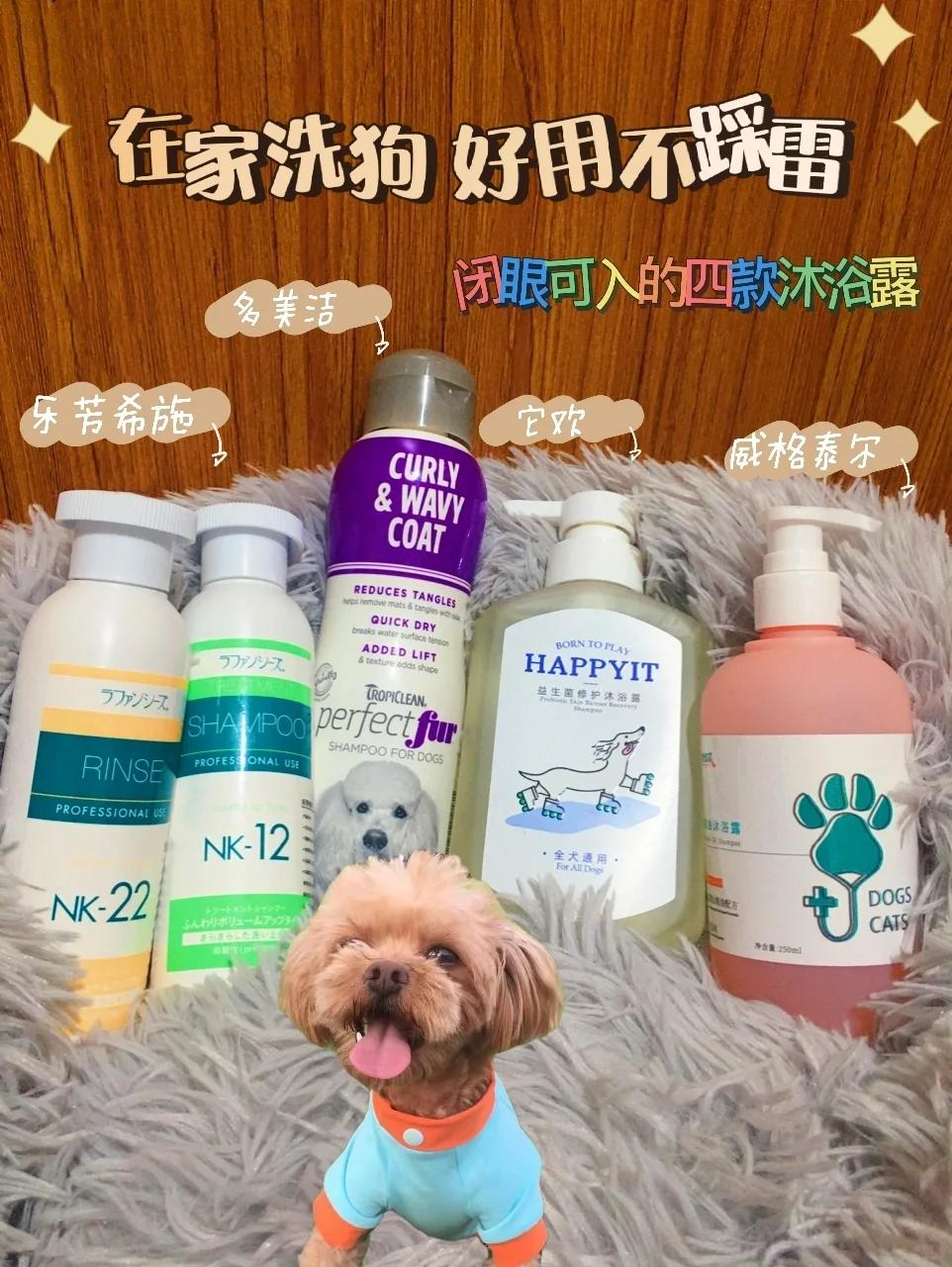 在家洗狗好用不踩雷的四款狗狗沐浴露