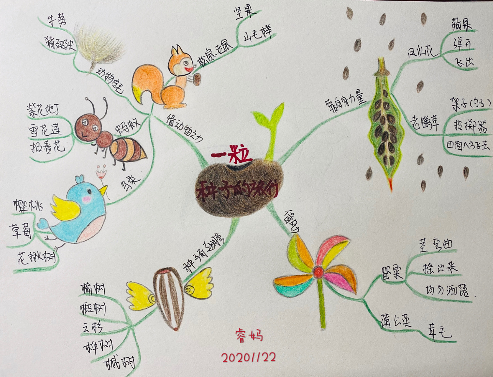 巜一粒种子的旅行》思维导图 我是睿妈96,我的第一次05,很认真的
