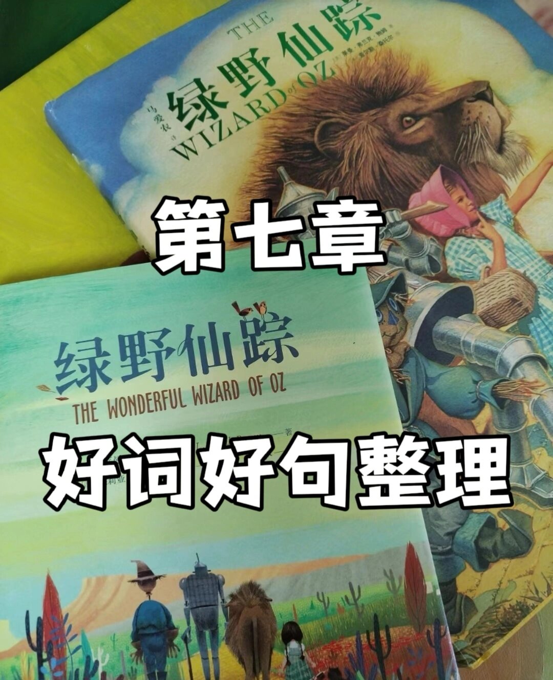 《绿野仙踪》第七章/好词好句整理