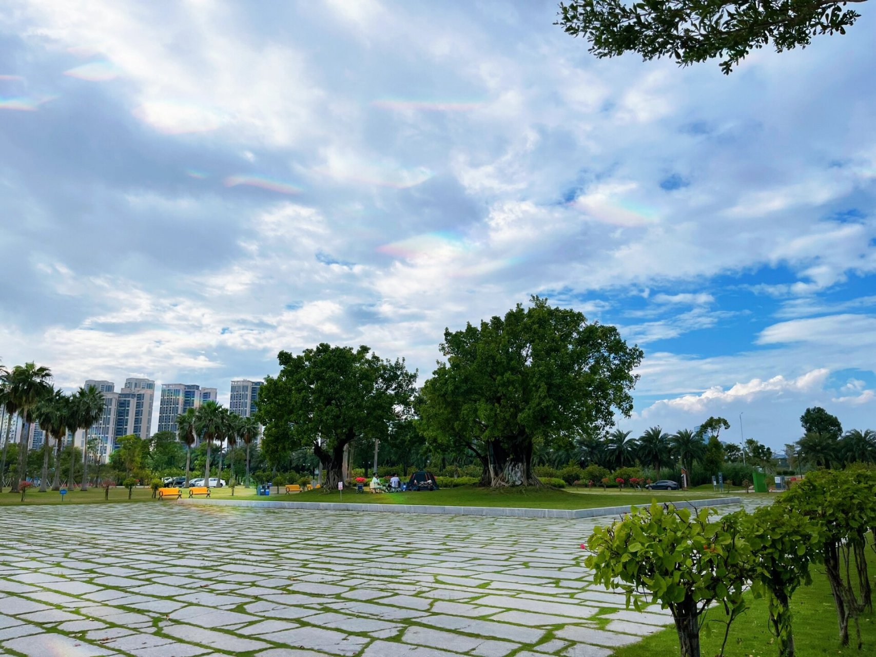 珠海溜达好去处1⃣️-金湾金湖公园 很新的公园⛲️公园不大