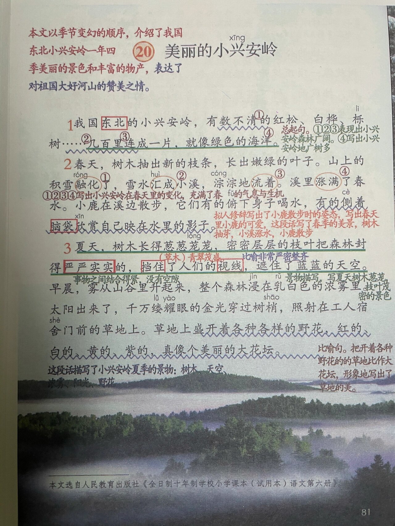 会写:脑,袋,瘫,库等13个字 有感情朗读课文,体会小兴安岭一年四季美丽