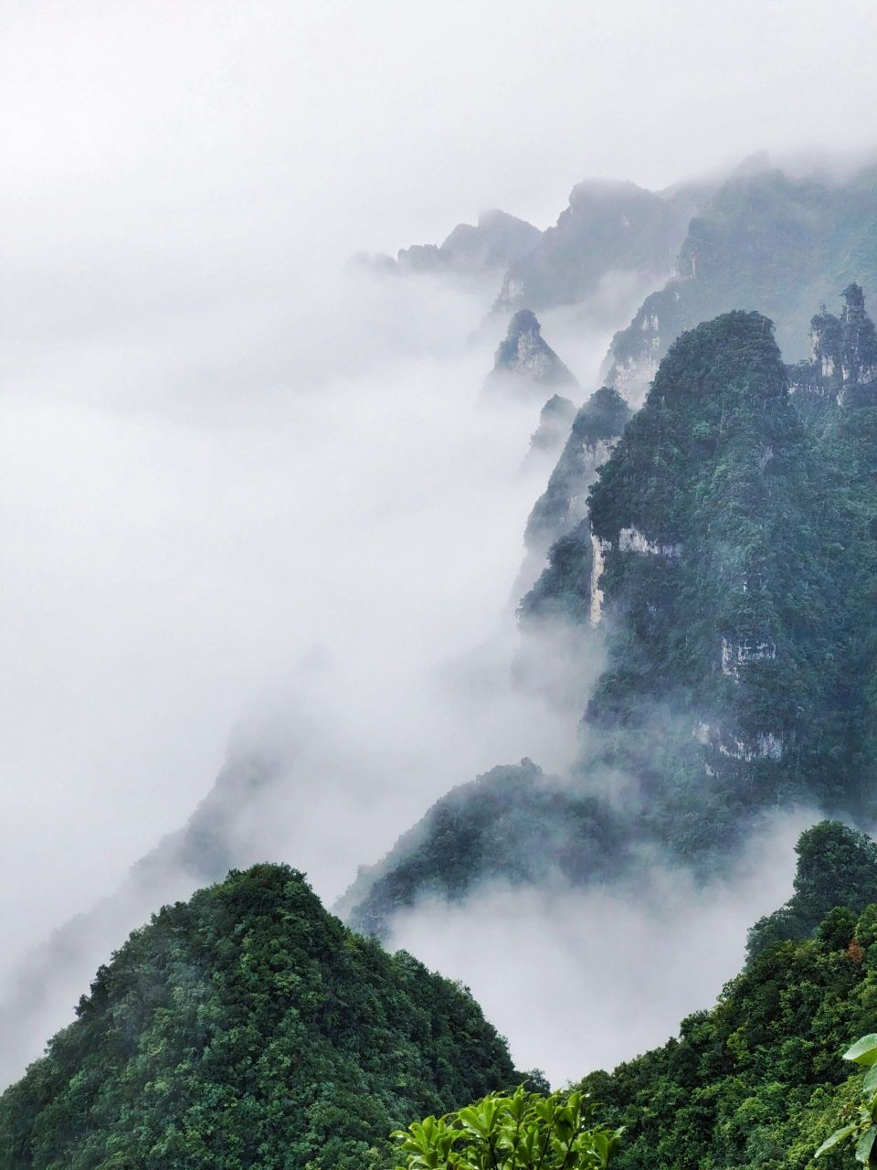 湖北宜昌柴埠溪大峡谷图片