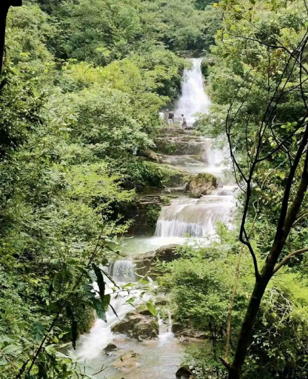 99地址:江油市厚坝镇枫顺乡藏龙潭风景区 7815景区约4