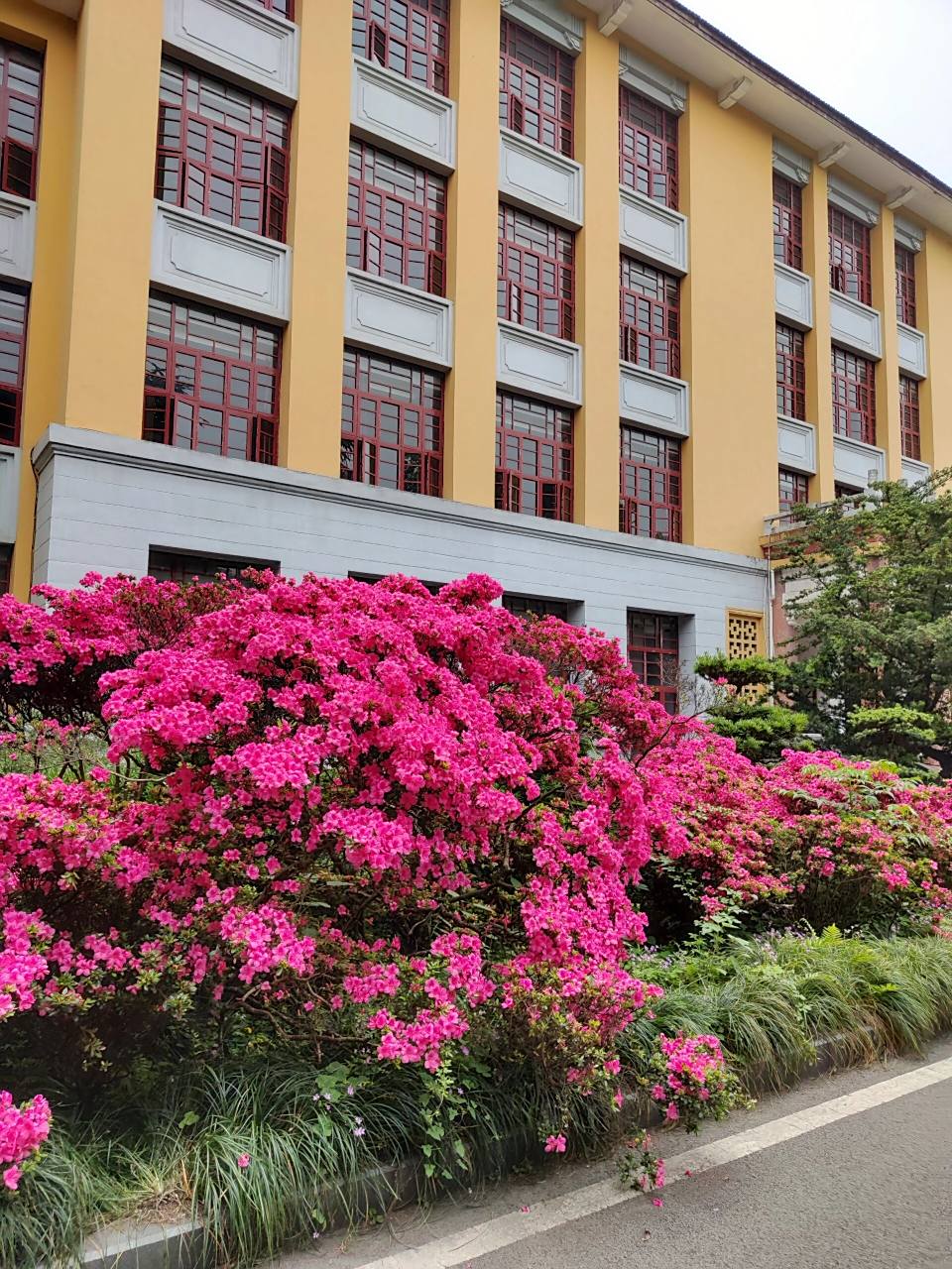 重庆大学a区 校园里的小风景