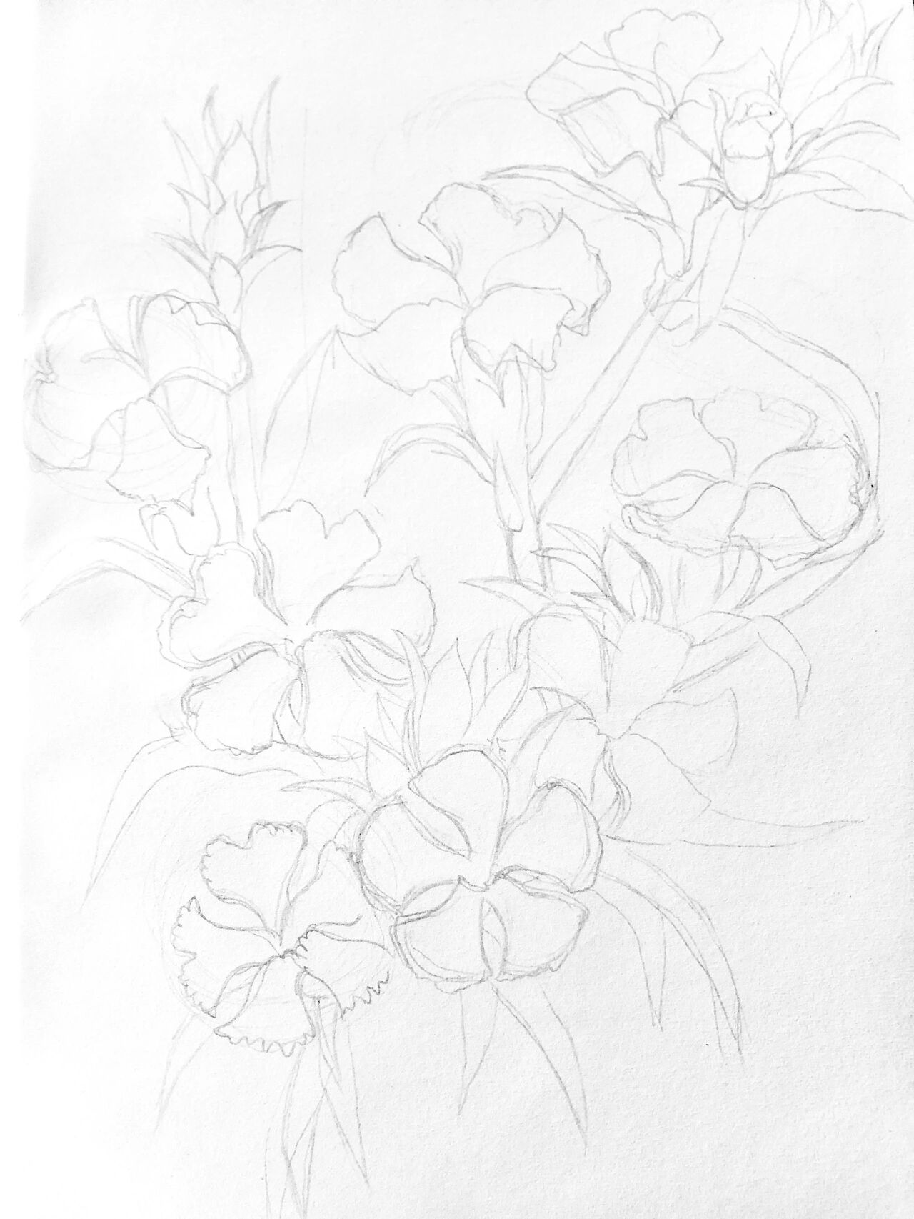 05针管笔画花蕊,花瓣和枝干暗部; 4-用0.1画花蕾的细节