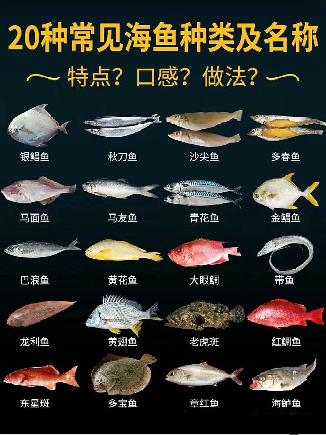 海鲜鱼种类品种图片