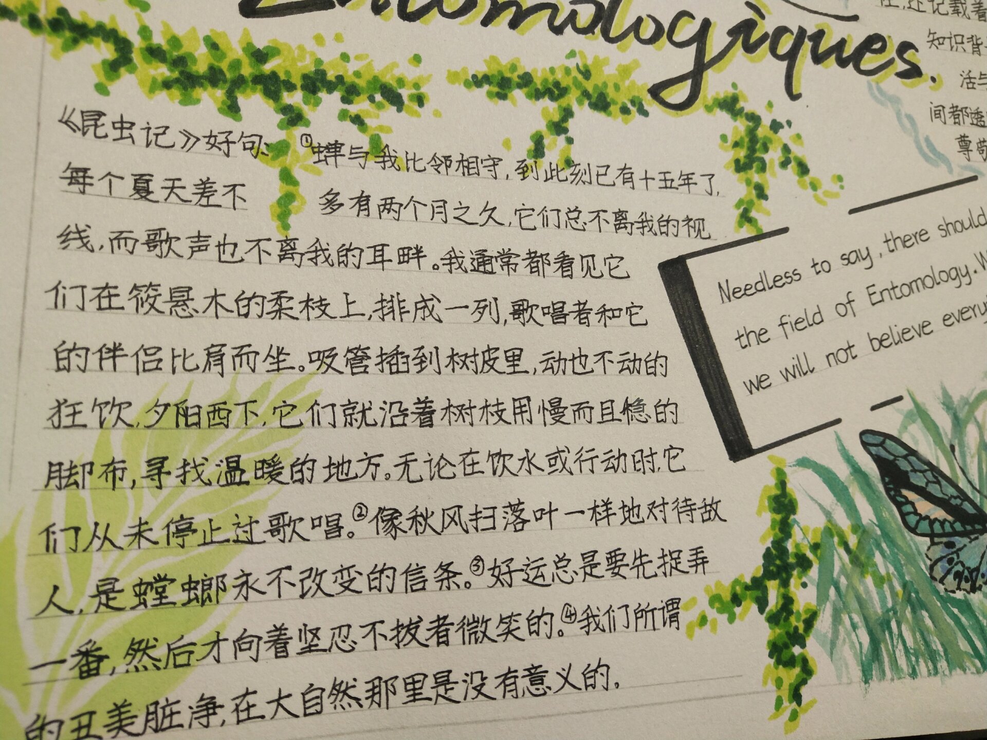 《昆虫记》手抄报