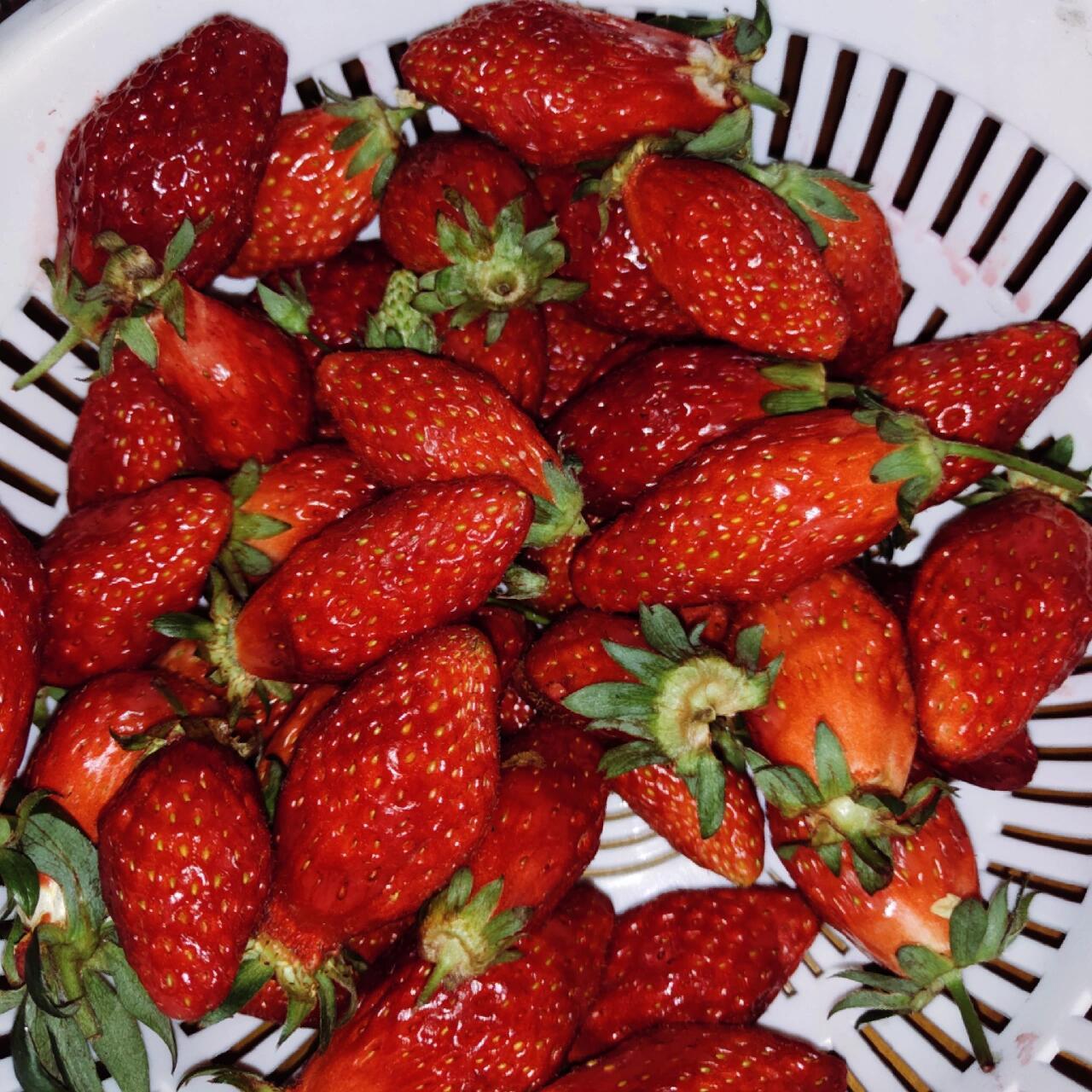 这个有点细长的草莓真的很美味啊 虽然不知道什么品种 但是真的好香好