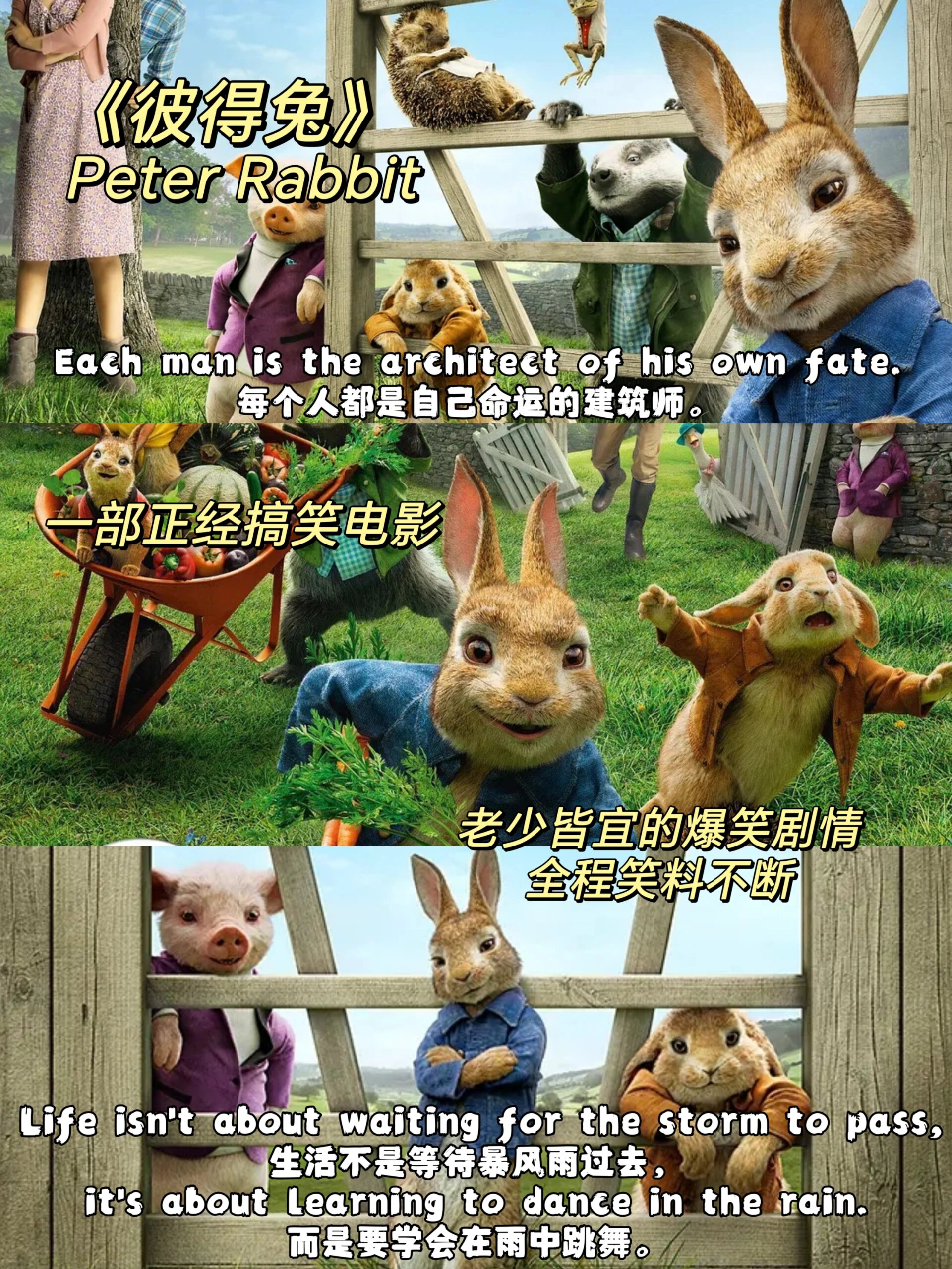 英文电影是一种很好的听力训练🎧沉浸式学习英语的好办法 电影带来