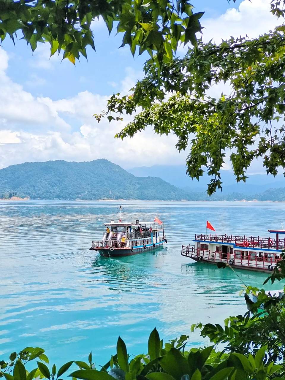 万绿湖中最大的岛屿——龙凤岛  它位于湖心,东部像龙,西部似凤 整个