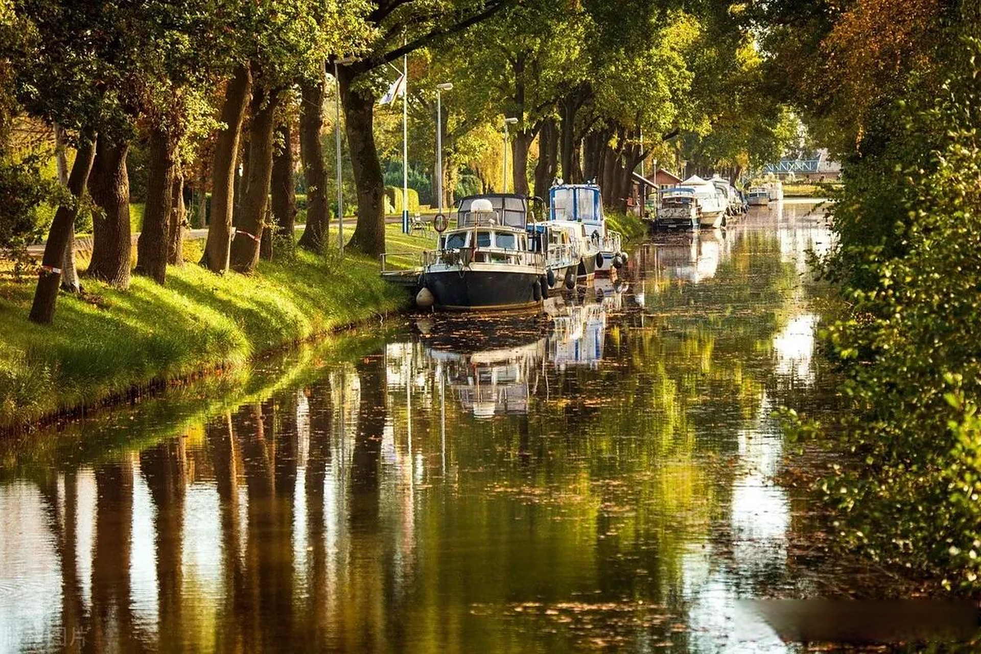 德国下萨克森州秋意浓 斑斓秋色惹人醉