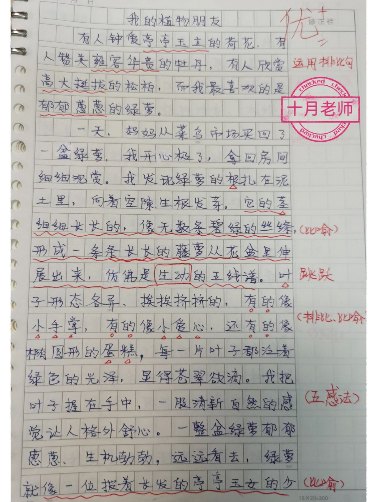 写观察绿萝的日记(观察绿萝的日记怎么写300字左右)