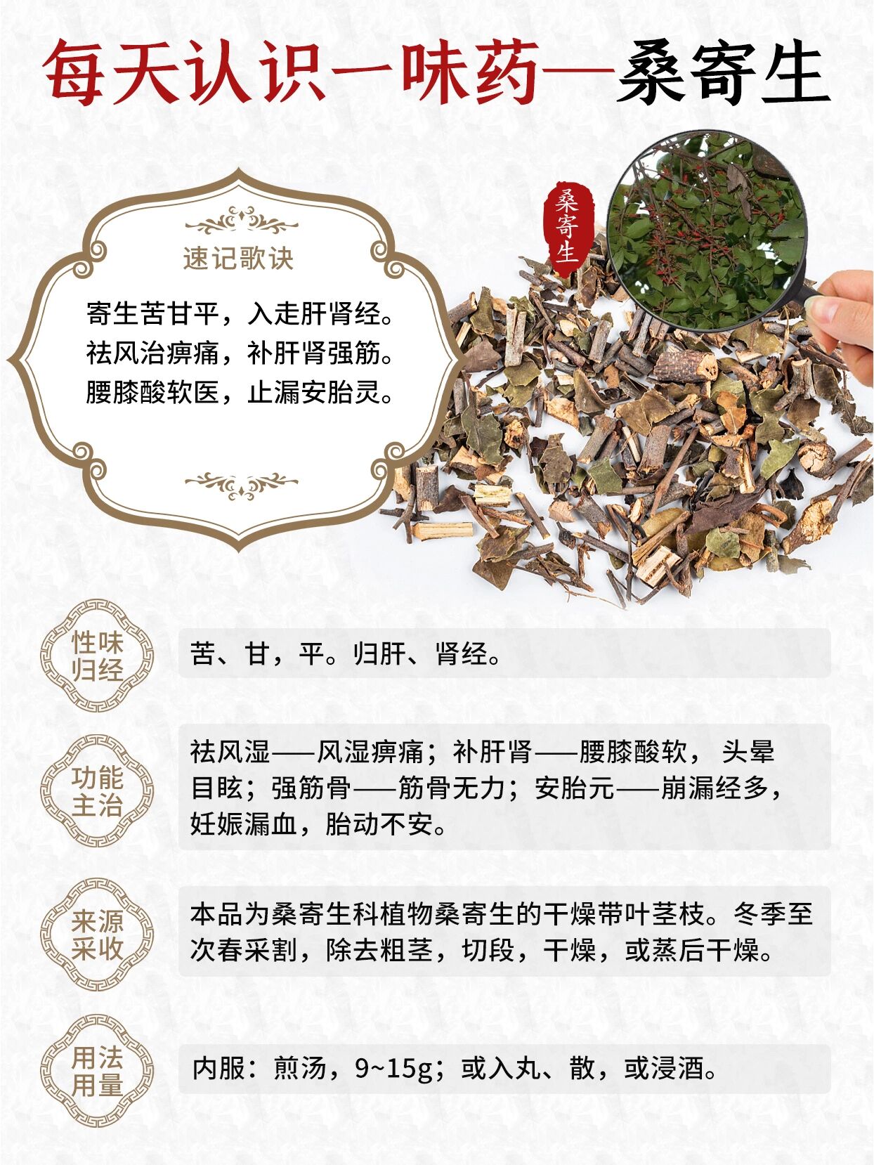 桑耳别名