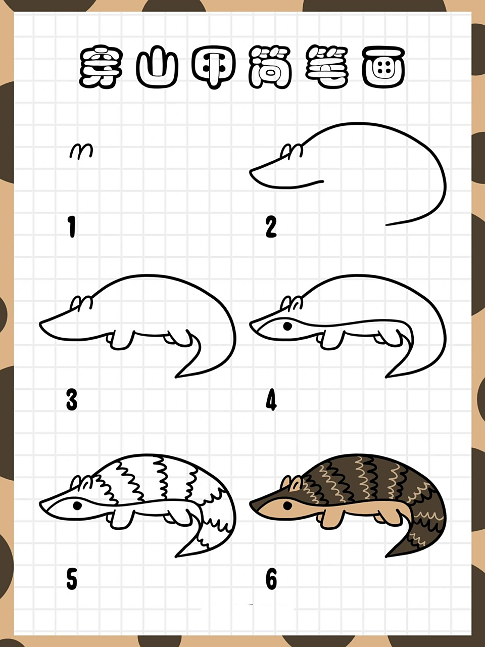 尼尼简笔画|穿山甲简笔画vol.