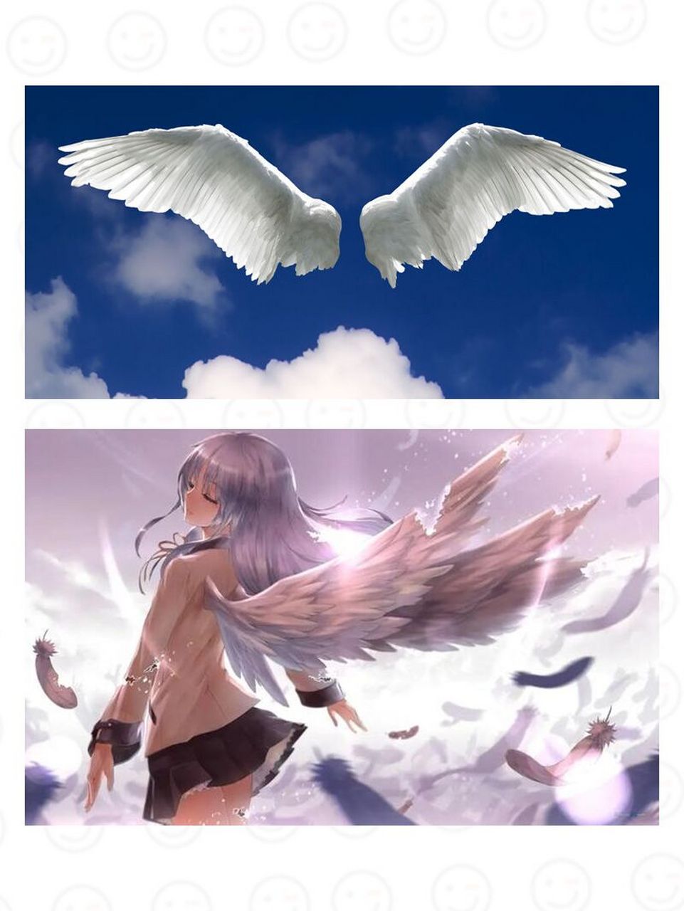 新emoji科普|09翅膀71 翅膀emoji可以说是新表情里的人气前三名了