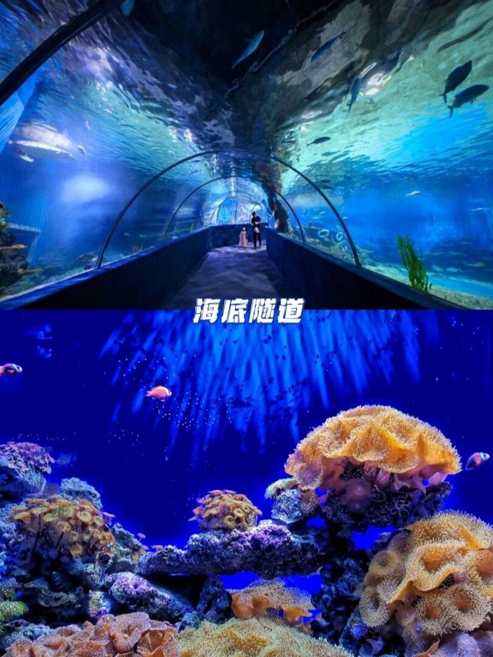 南充海洋馆图片