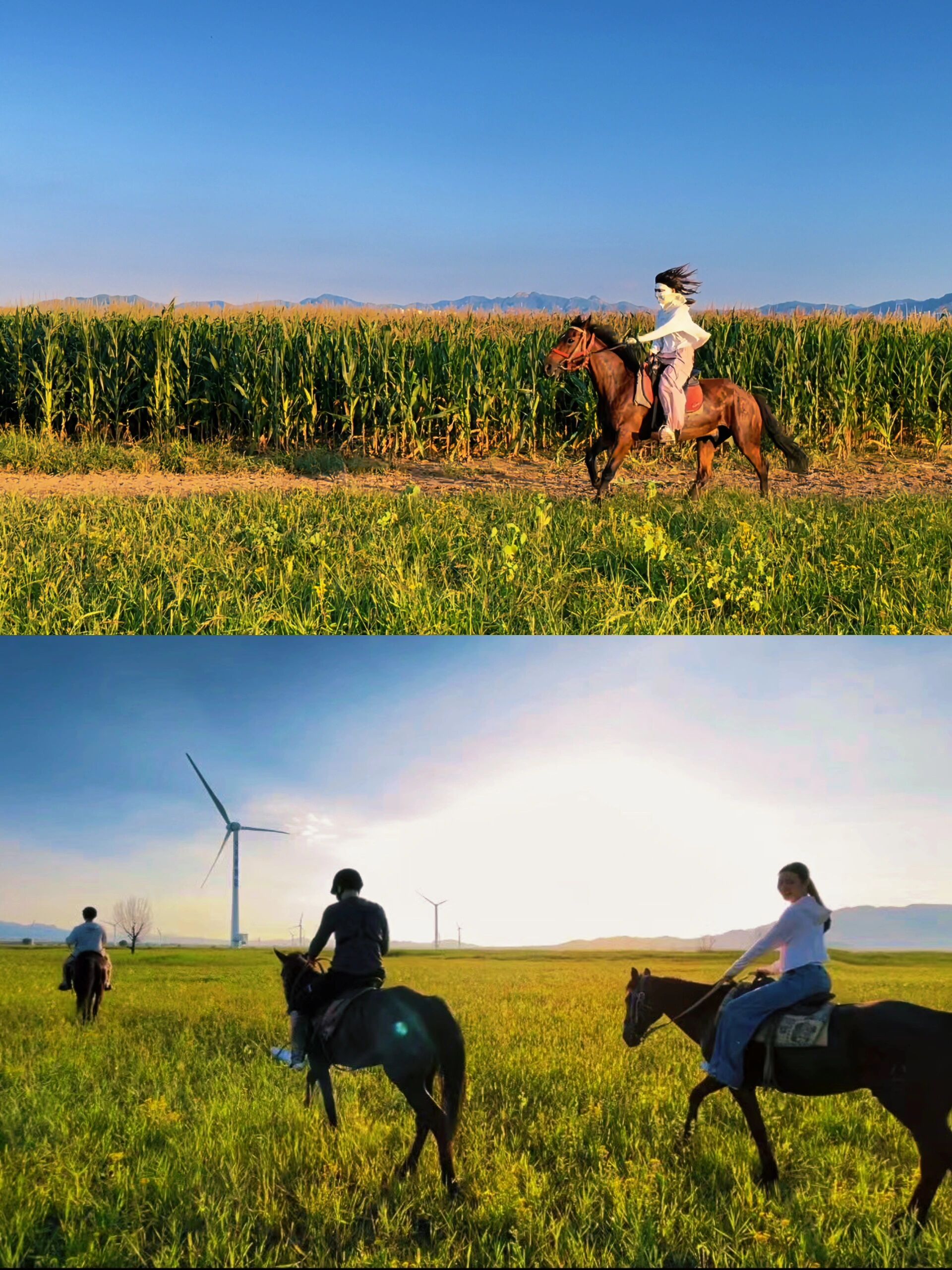 北京周末丨确定了yyds马场