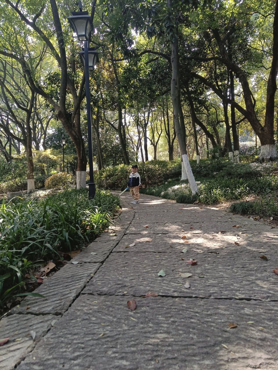 杭州临平遛娃篇 去临平山公园吸个氧,再去游乐场消费一下,累了再去