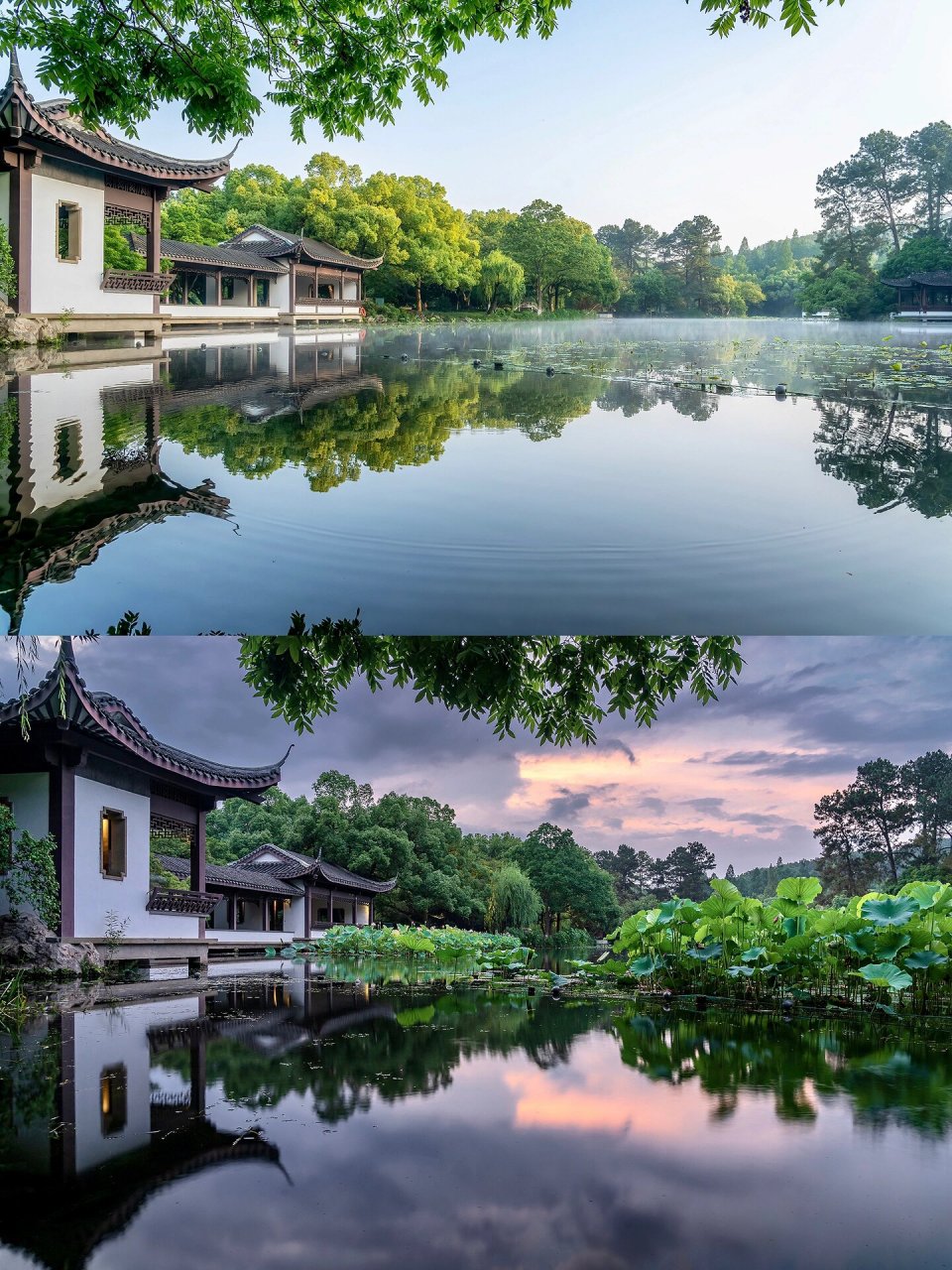 西湖赏荷丨曲院风荷 最近被杭州的荷花刷屏了,推荐一个傍晚时分游玩的