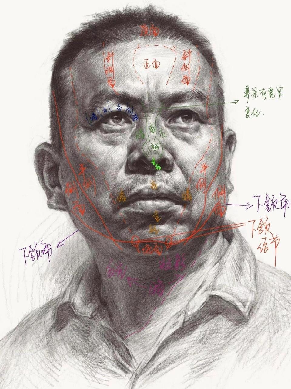素描头像结构解析 头像结构干货,怎样画好头像结构～看完就会|||166