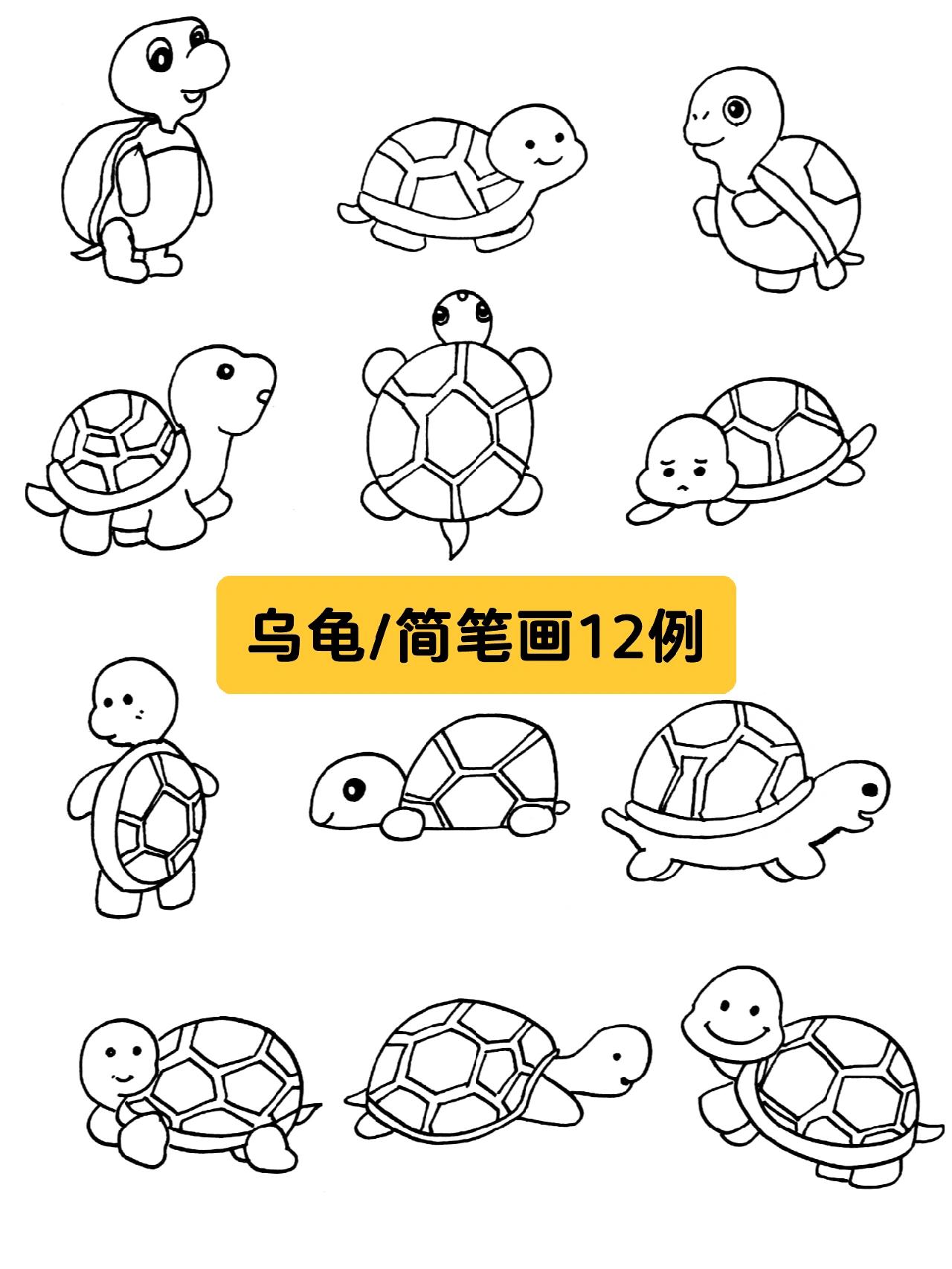 乌龟简笔画12例