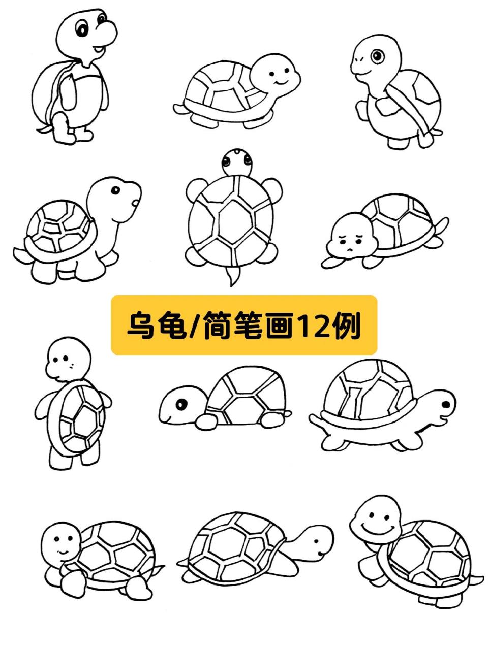 乌龟简笔画12例 可爱的小乌龟