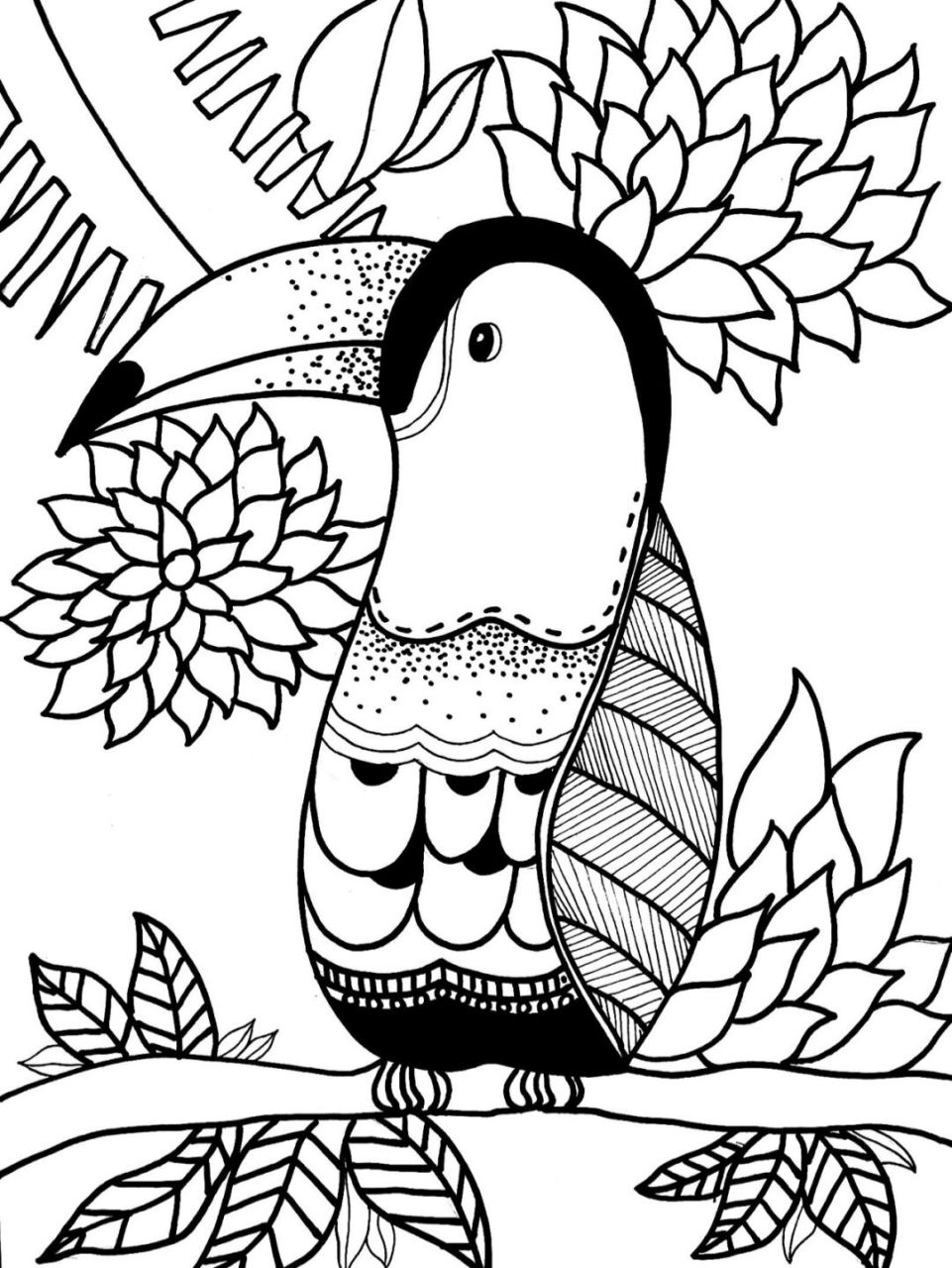鹦鹉创意线描画图片
