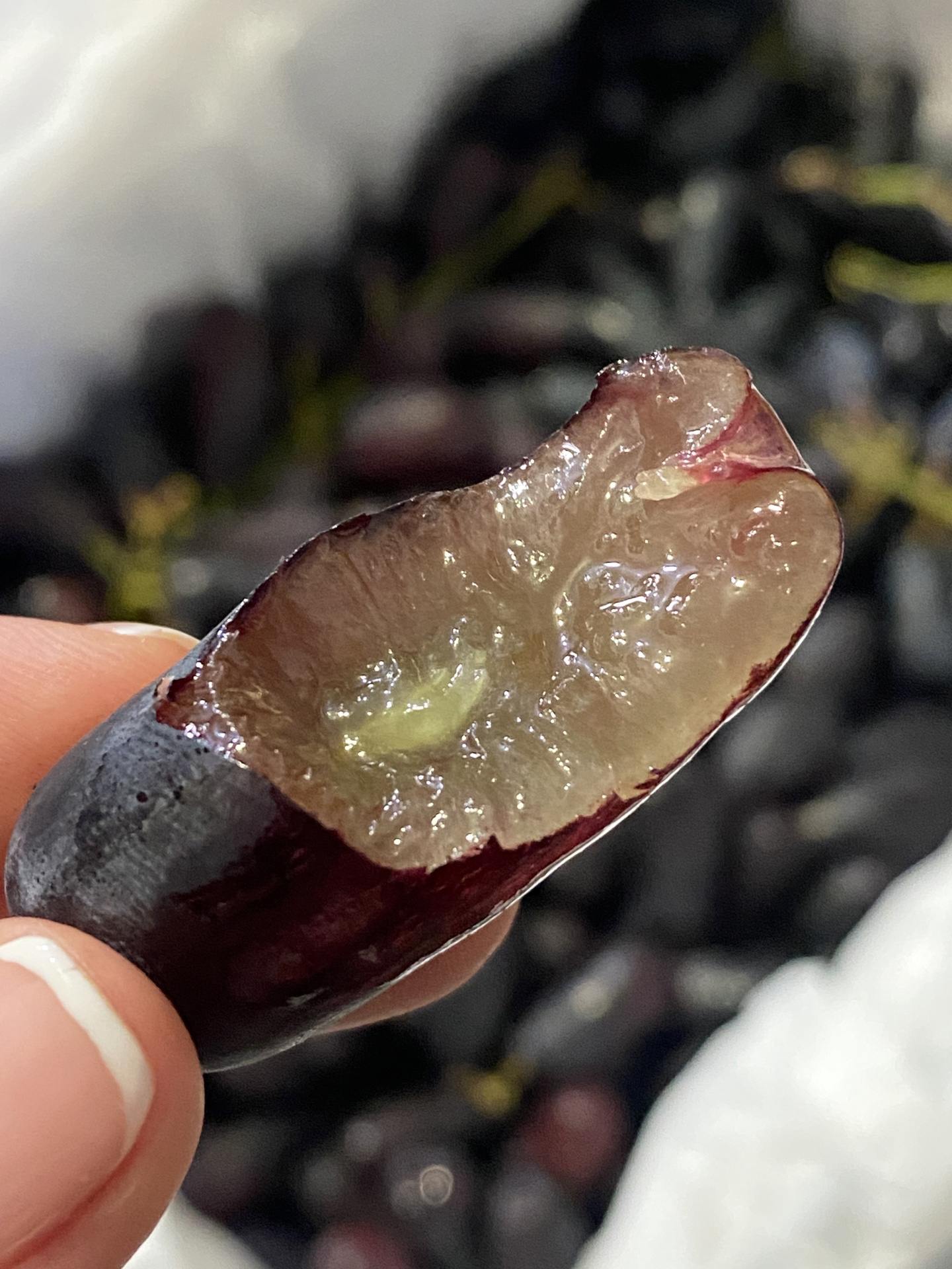 这个长长的葡萄🍇真的挖到宝了,好好吃啊