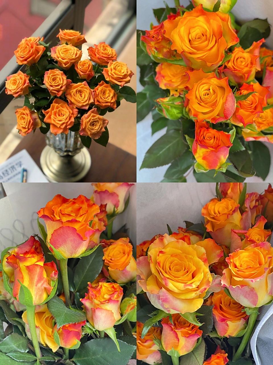 当阳光洒下来,我才真正明白为什么它叫金色海岸了,独特的卷边花型