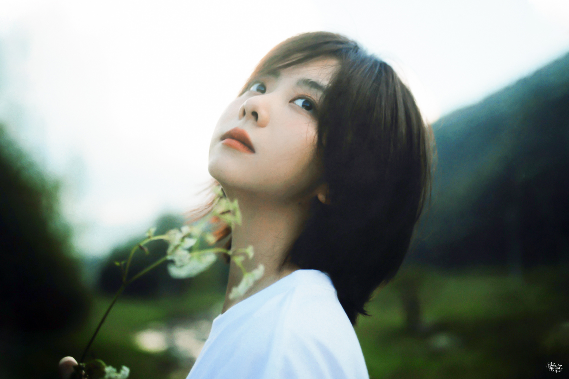 98谭松韵 | 电脑壁纸