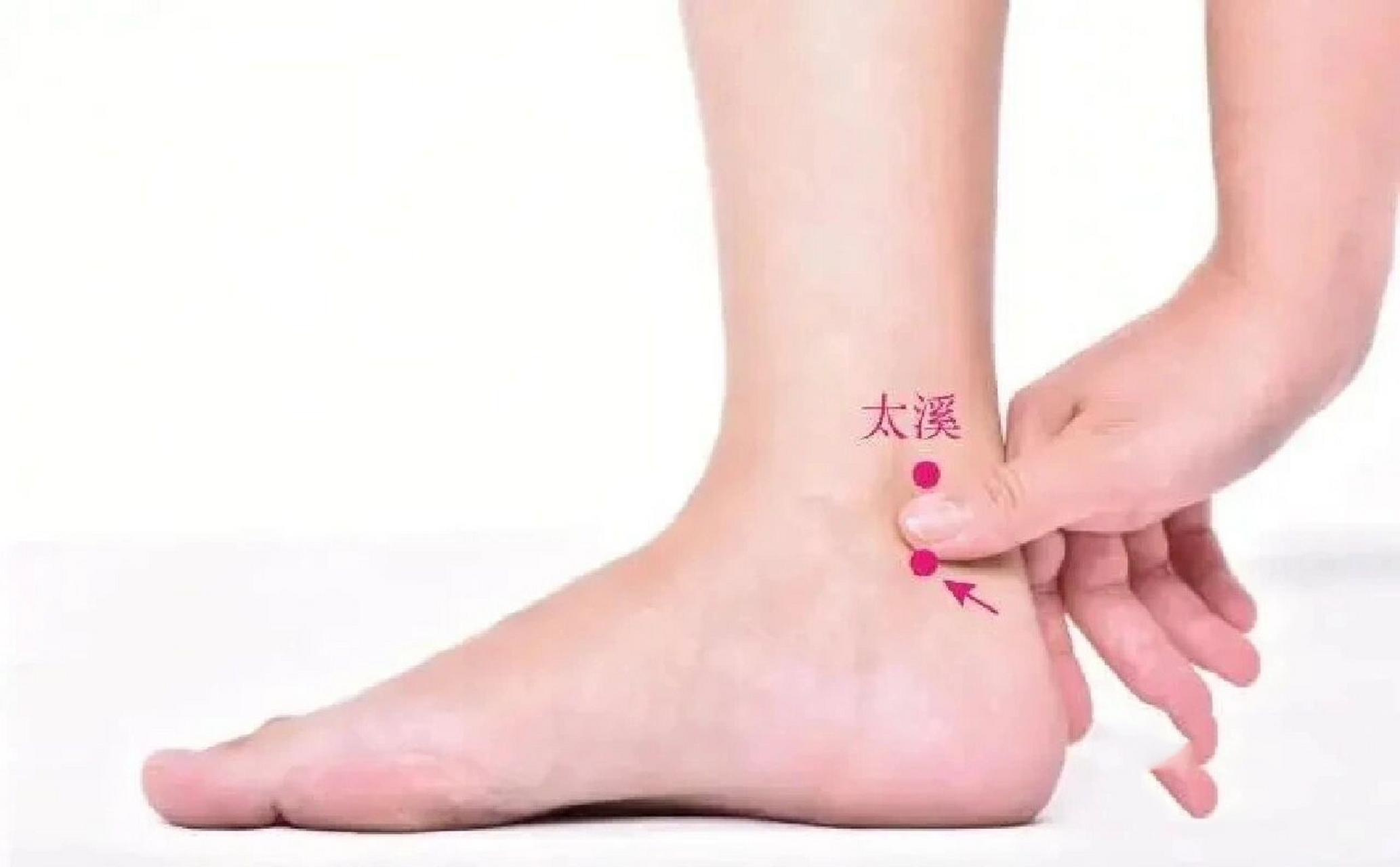 太溪穴的位置 太溪穴的位置在脚踝内侧后跟骨上动脉凹陷处.