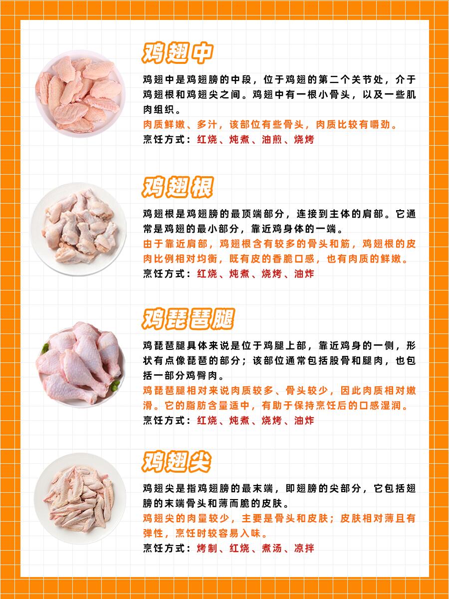 鸡的16个部位图解,超详细