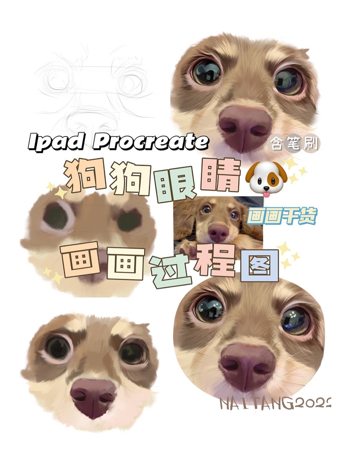 干货 | 98狗狗眼睛画画过程图601560157815 之前狗狗