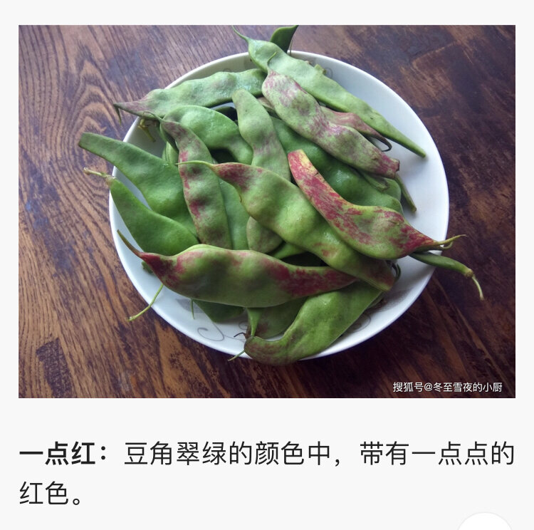 东北油豆角品种