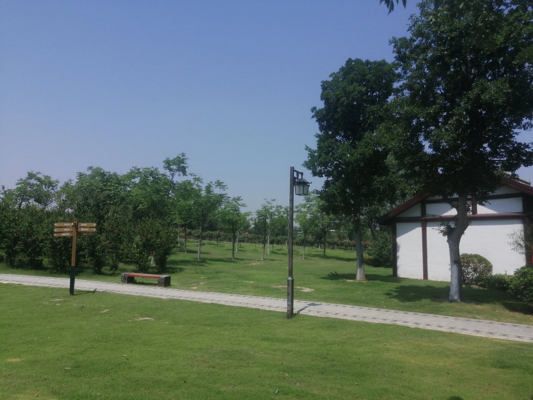 商丘的公园 日月湖and汉梁公园and商都公园and人民公园 夏天风景挺