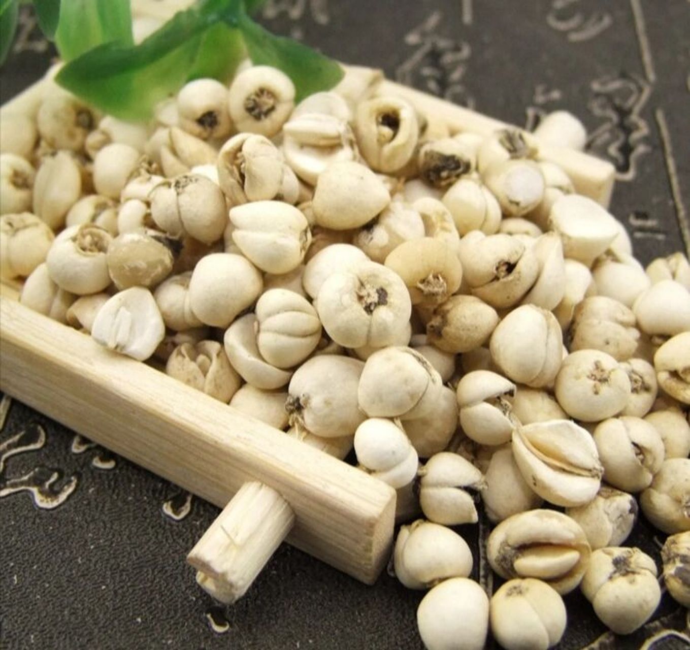 润肺止咳 贝母清痰治咳嗽而利心肺 贝母分浙贝母和川贝母.