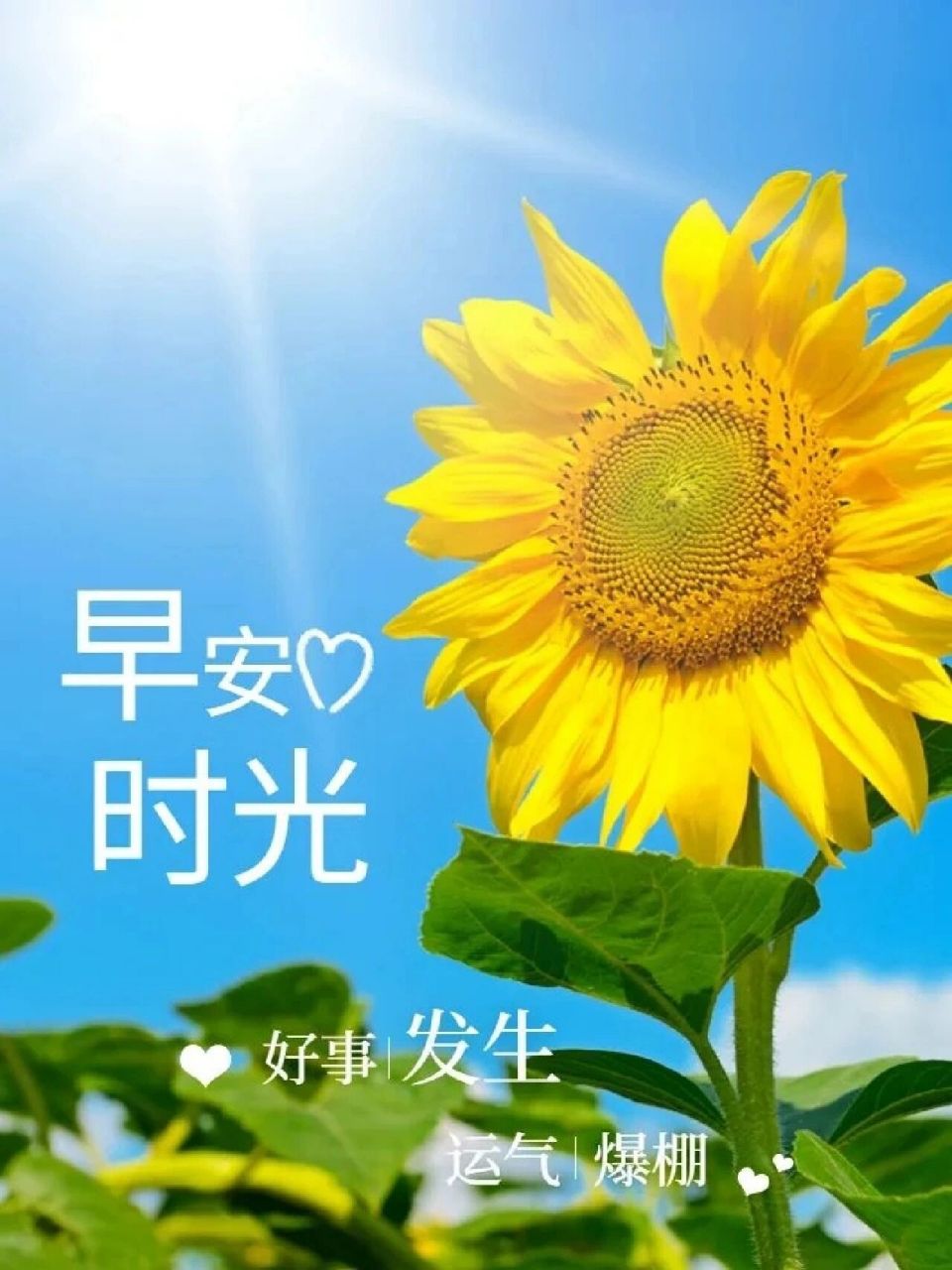 早安   9898 5304 good morning 9598 生活熙熙攘攘