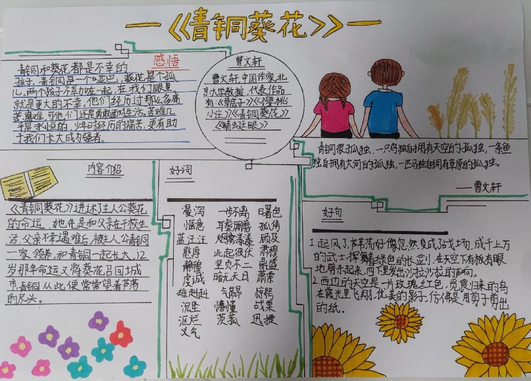 手抄报‖《青铜葵花》读书小报 女儿今天做的青铜葵花读书小报, 发个
